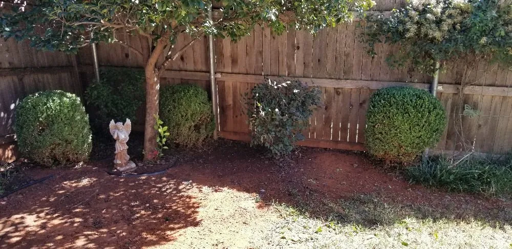 Trusted yard cleanup service in Oklahoma City, OK by Thunder Lawn Services