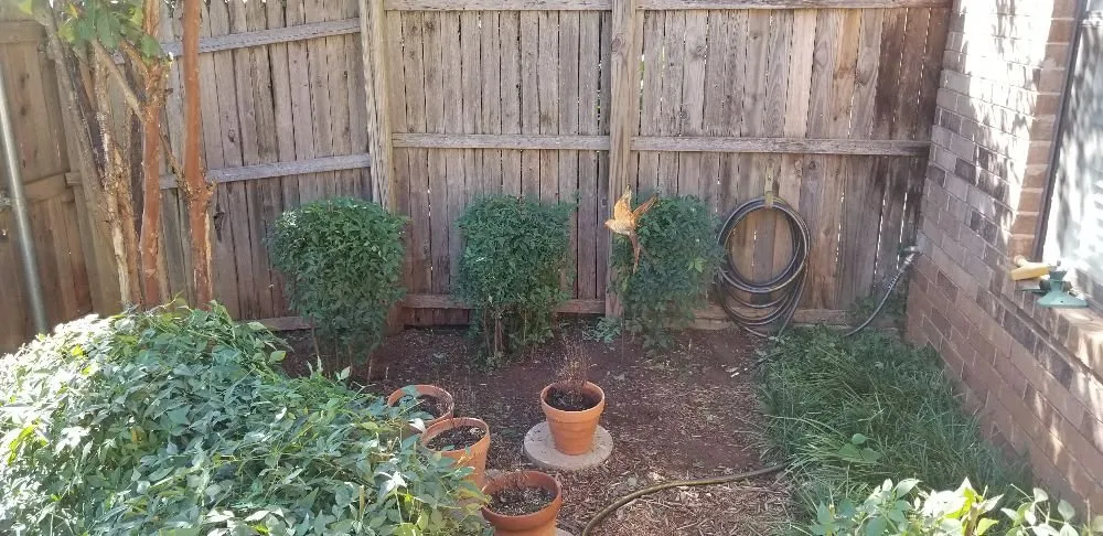 Expert landscape installation in Oklahoma City, OK by Thunder Lawn Services