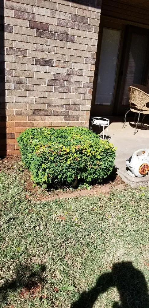 Affordable lawn care service in Oklahoma City, OK by Thunder Lawn Services