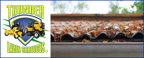 Thunder Lawn Services Logo