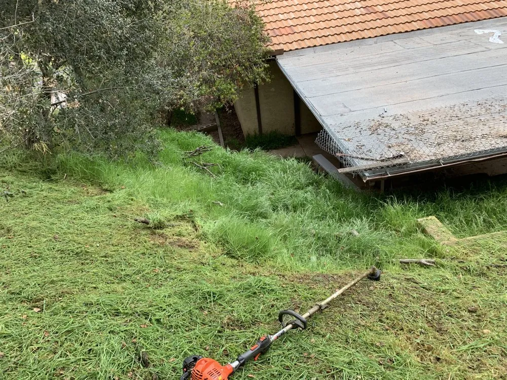 Trusted landscape design for residential properties in Valley Center, CA by Thunder Rabbit