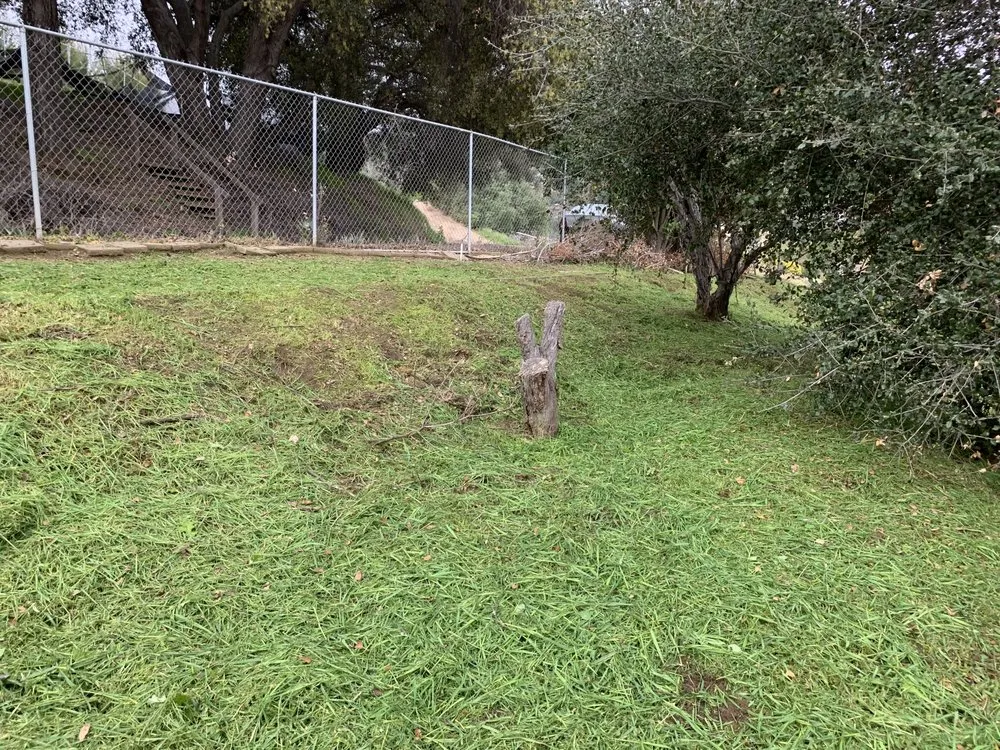 Top-rated landscape installation for homes in Valley Center, CA by Thunder Rabbit