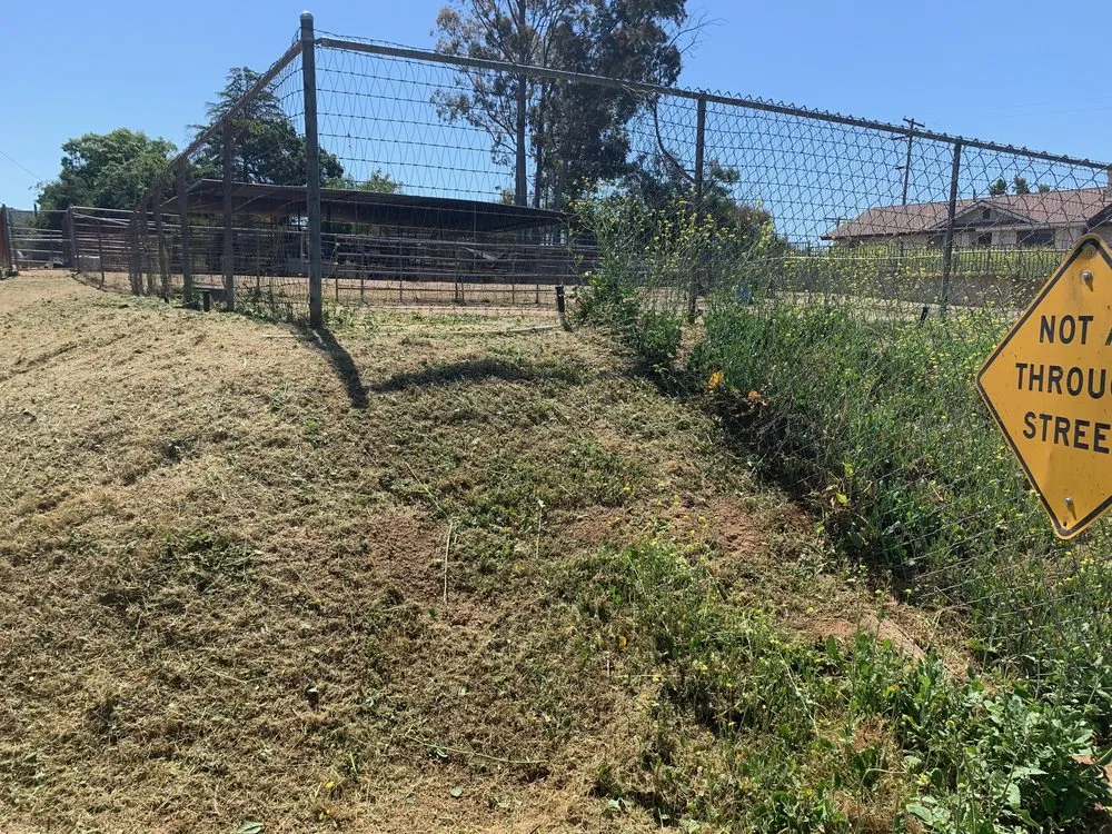 Expert yard maintenance with custom design in Valley Center, CA by Thunder Rabbit