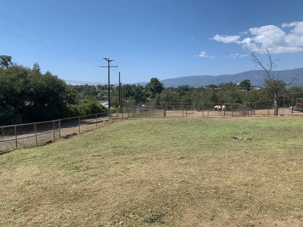 Local outdoor landscaping experts serving Valley Center, CA - Thunder Rabbit