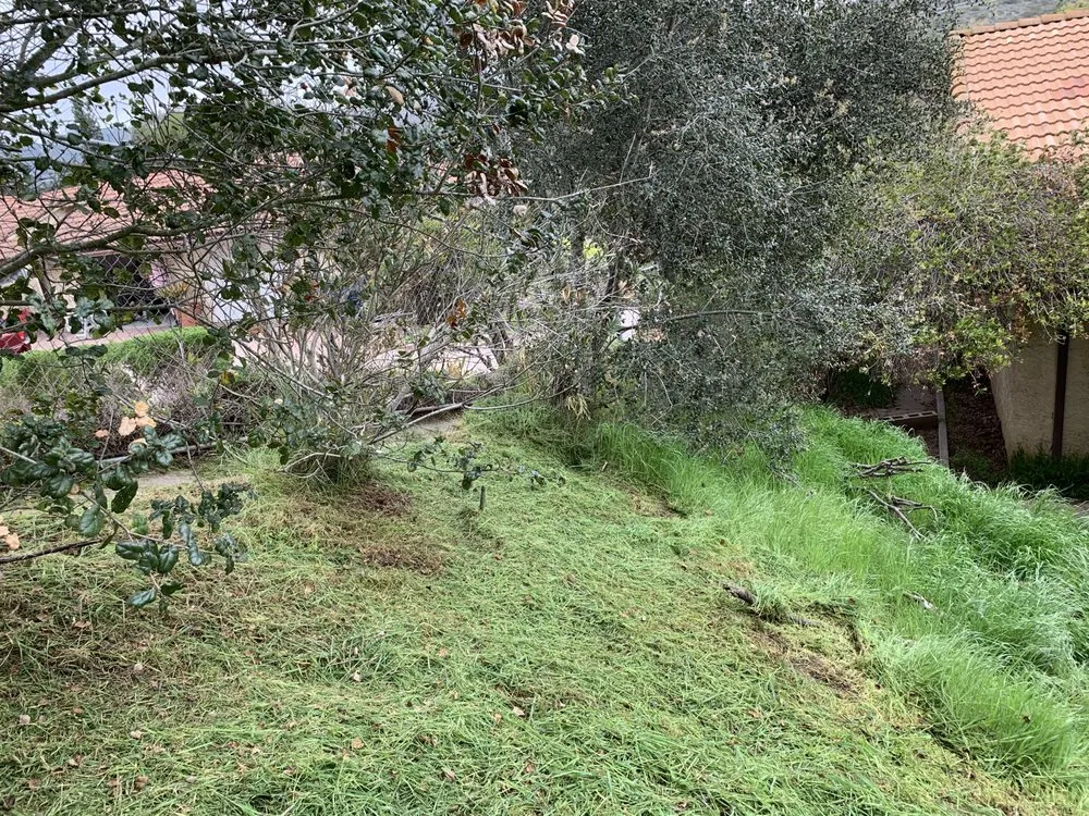 Custom garden landscaping for beautiful yards across Valley Center, CA - Thunder Rabbit