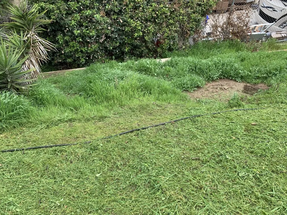 Reliable yard cleanup service for homes in Valley Center, CA by Thunder Rabbit