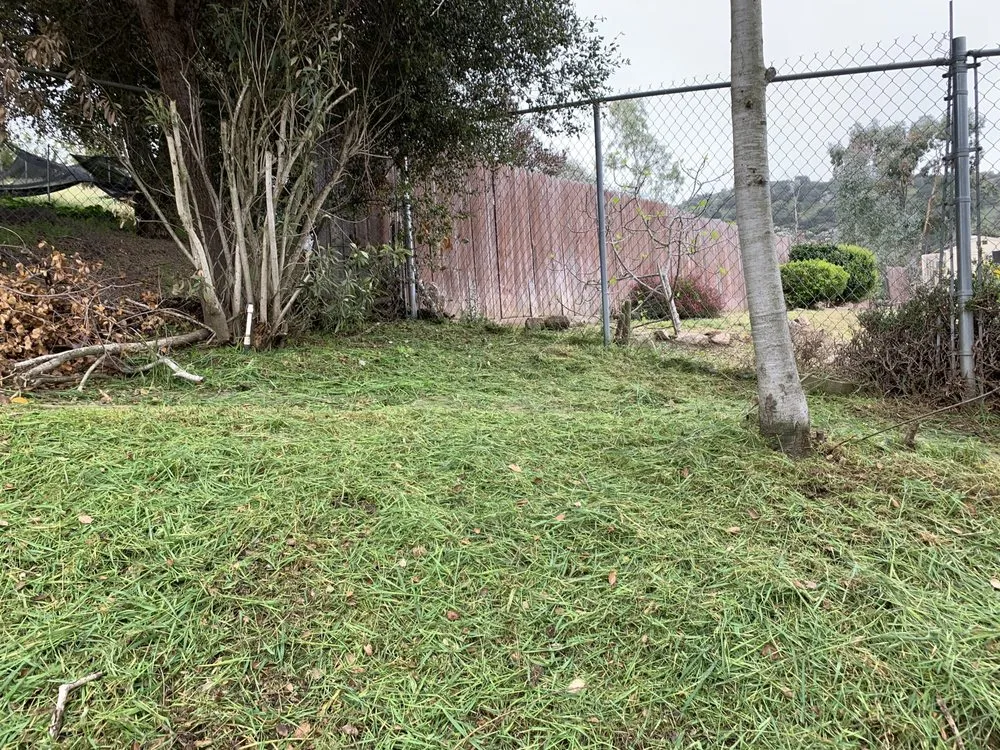 Top-rated lawn care service for outdoor upgrades across Valley Center, CA - Thunder Rabbit