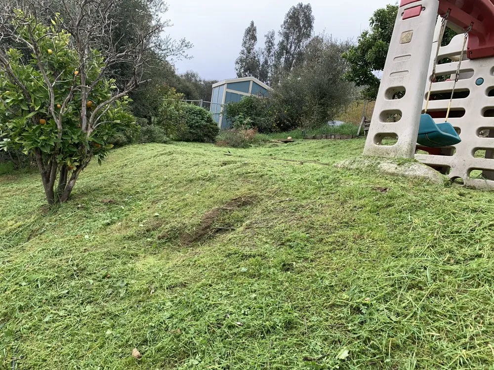 Reliable yard maintenance experts serving Valley Center, CA - Thunder Rabbit