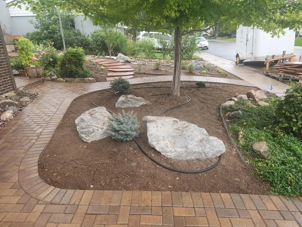 Local yard cleanup service for year-round maintenance in Englewood, CO by Thunderbird Design
