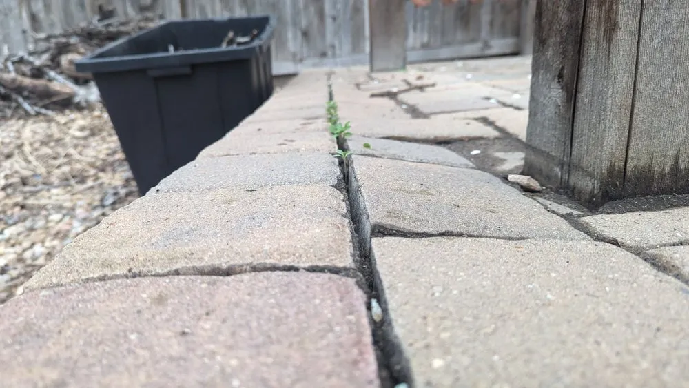 Affordable residential landscaping for homes across Englewood, CO - Thunderbird Design