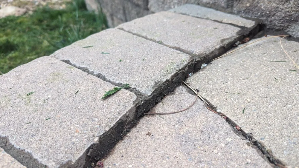 Trusted yard cleanup service in Englewood, CO - Thunderbird Design