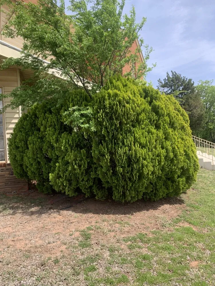 Trusted landscape installation in Oklahoma City, OK - Thurau Total Lawn And Landscape