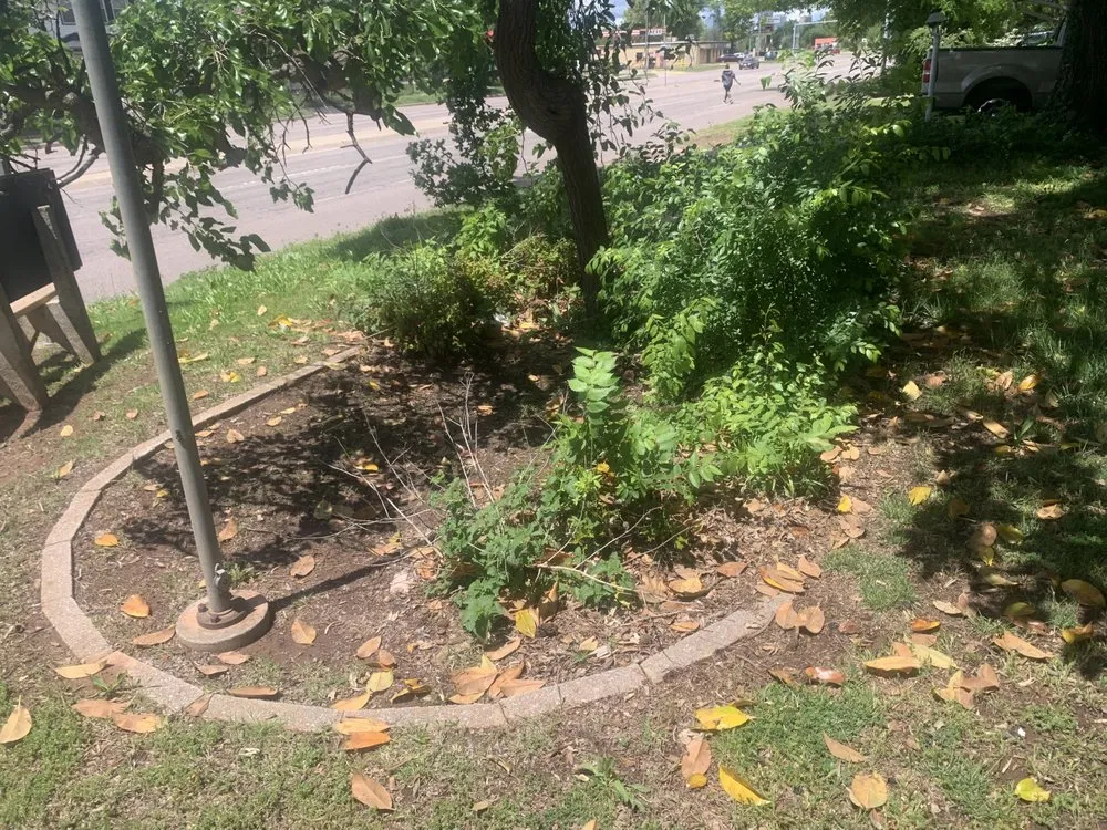 Expert residential landscaping experts serving Oklahoma City, OK - Thurau Total Lawn And Landscape