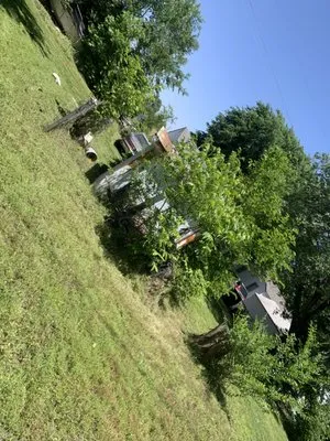 Thurau Total Lawn And Landscape Logo