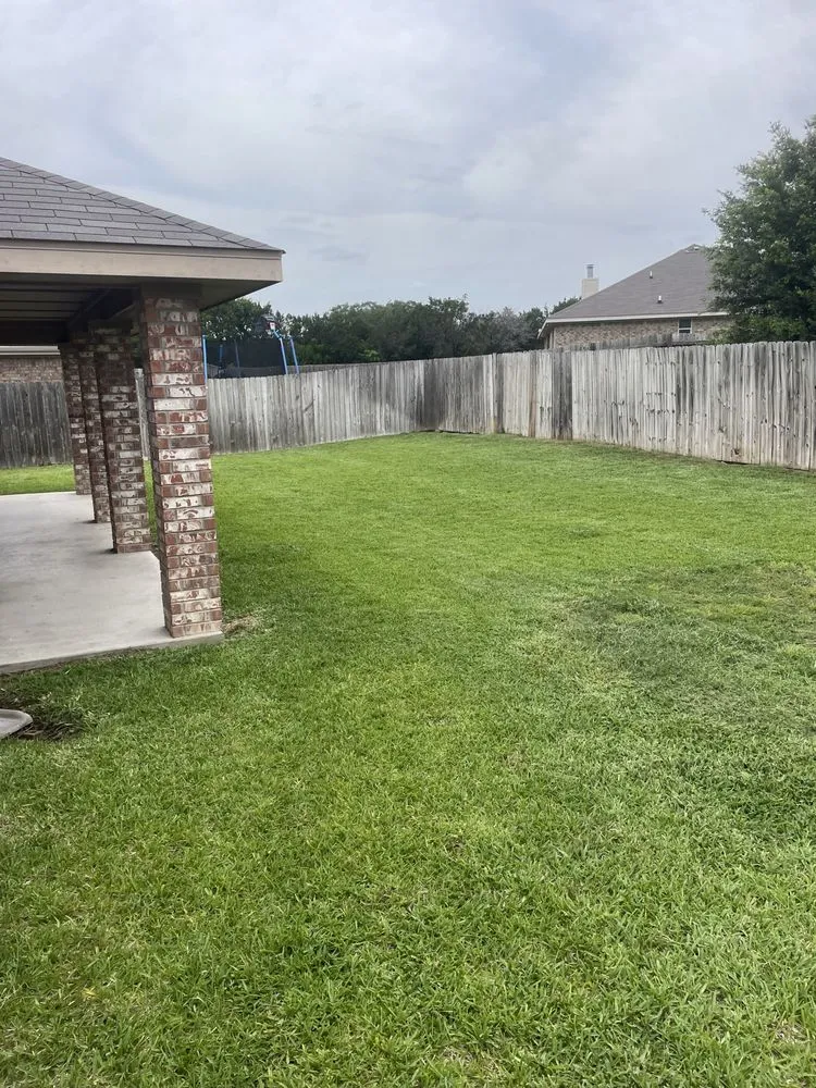 Top-rated yard cleanup service experts serving Harker Heights, TX - Thurm & Son’s Lawn Services