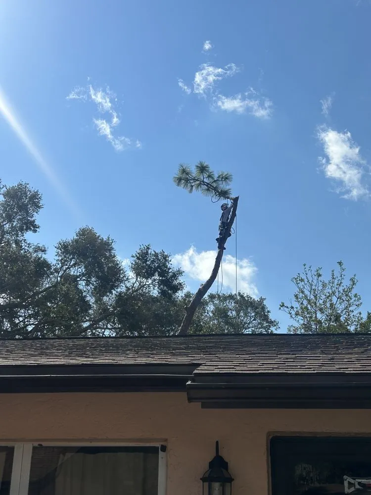 Trusted landscape design with custom design across Galesburg, IL - Thurman and Son Yard Works