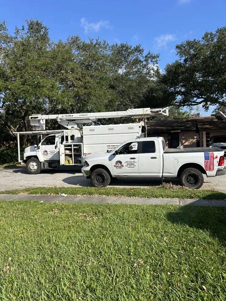 Local yard cleanup service experts serving Galesburg, IL - Thurman and Son Yard Works