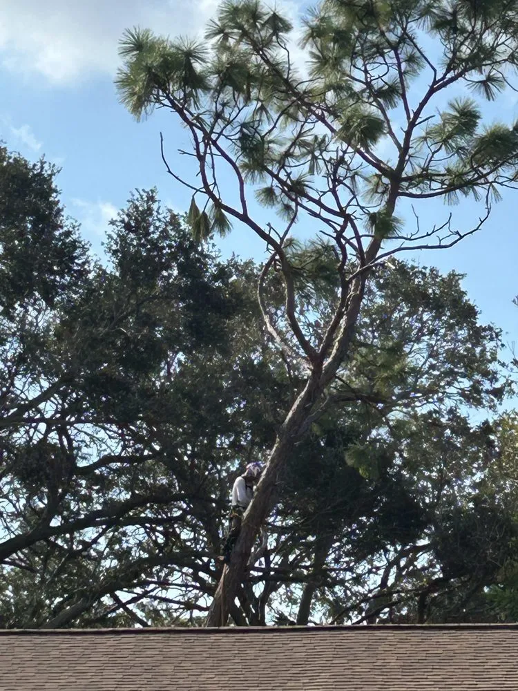 Reliable landscape installation in Galesburg, IL by Thurman and Son Yard Works