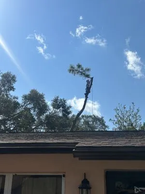 Thurman and Son Yard Works