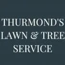 Top-rated landscape installation for outdoor upgrades in Columbia, MO by Thurmond's Lawn & Tree Service
