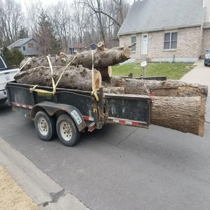 Trusted landscape design for homes in Columbia, MO by Thurmond's Lawn & Tree Service