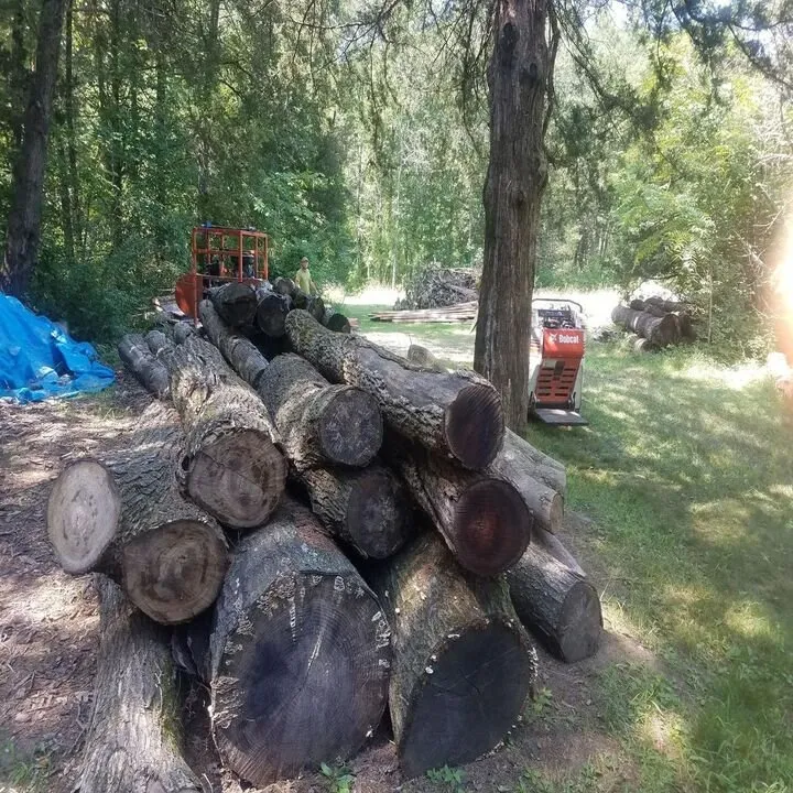 Affordable lawn care service for residential properties in Columbia, MO by Thurmond's Lawn & Tree Service