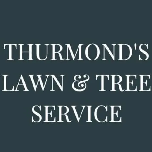 Custom landscape installation experts serving Columbia, MO - Thurmond's Lawn & Tree Service