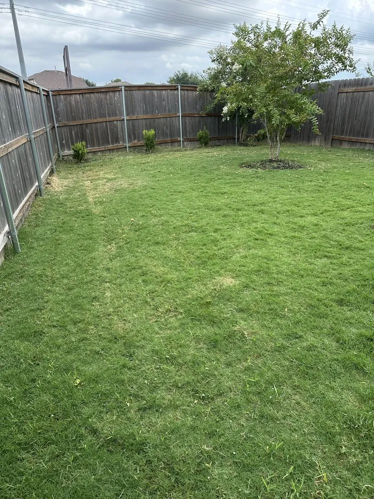 Affordable outdoor landscaping in Bastrop, TX - THW Landscaping