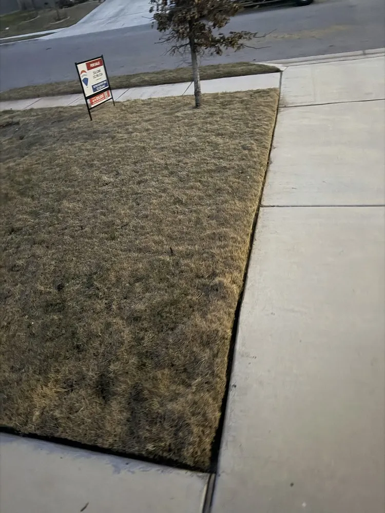 Reliable landscape design in Bastrop, TX by THW Landscaping