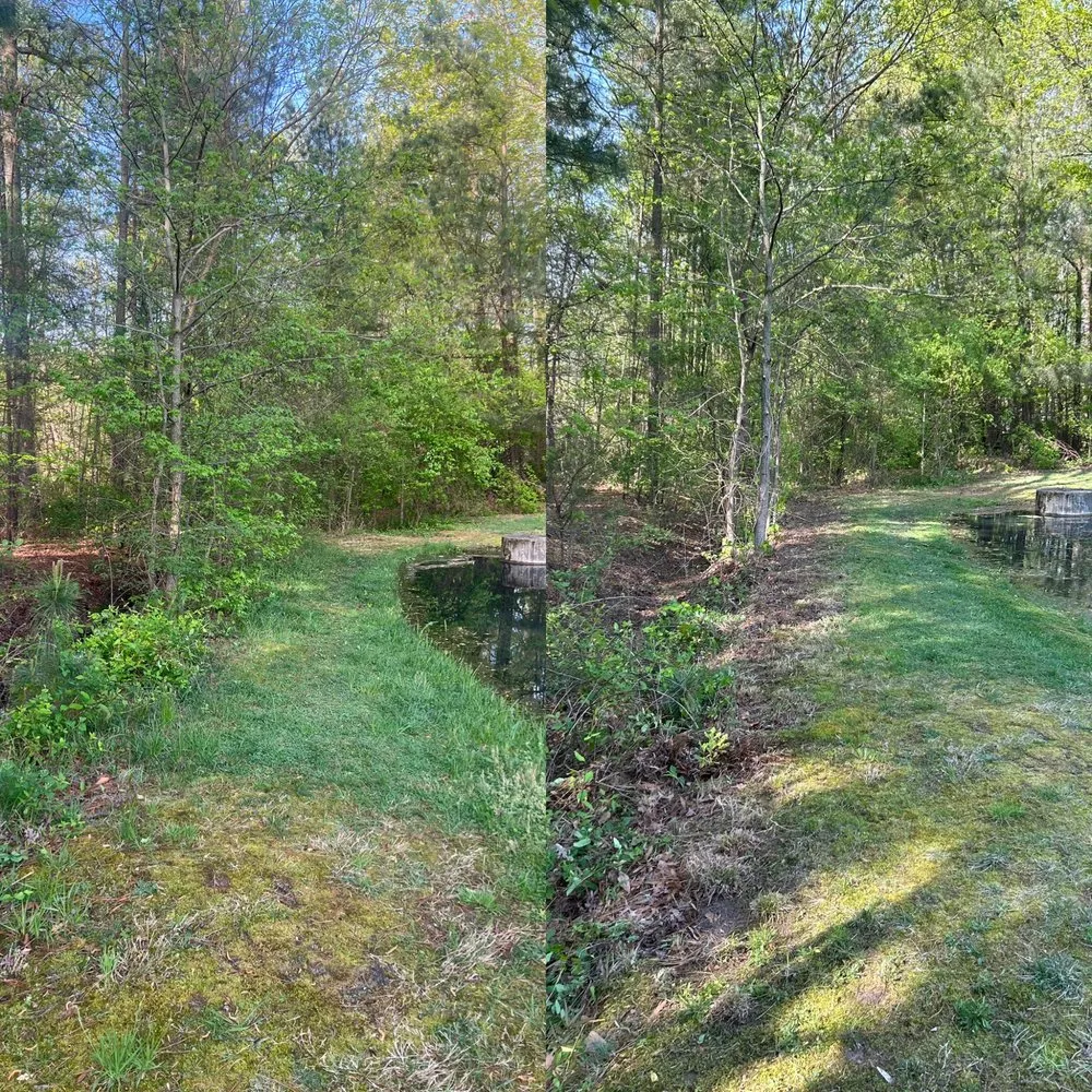 Reliable lawn mowing service in Henrico, VA by T&I Lawncare