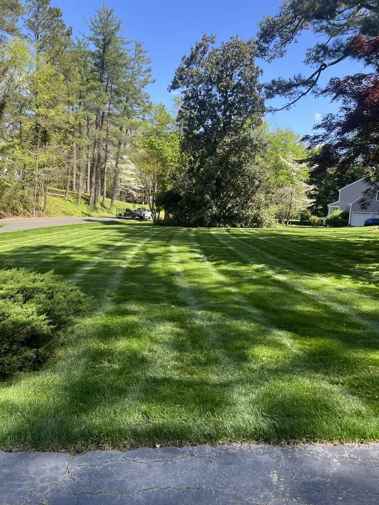 Local yard maintenance experts serving Henrico, VA - T&I Lawncare
