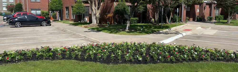 Custom yard maintenance for outdoor upgrades across Carrollton, TX - Tiago Lawn Care