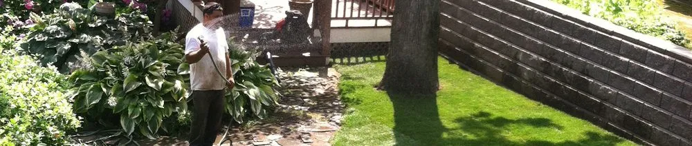 Affordable outdoor landscaping in Carrollton, TX by Tiago Lawn Care