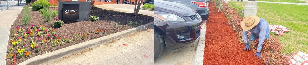 Trusted lawn mowing service in Carrollton, TX - Tiago Lawn Care