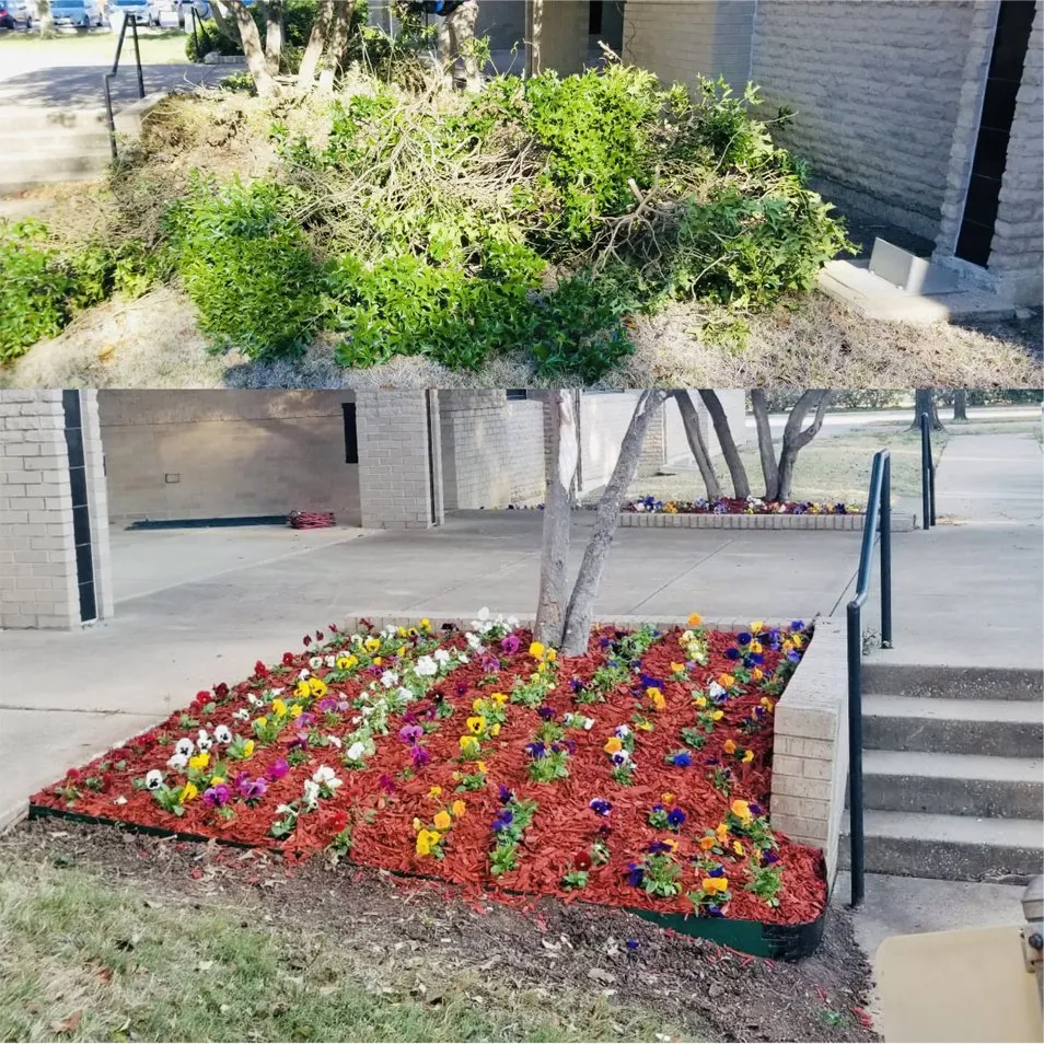 Top-rated lawn mowing service in Carrollton, TX - Tiago Lawn Care