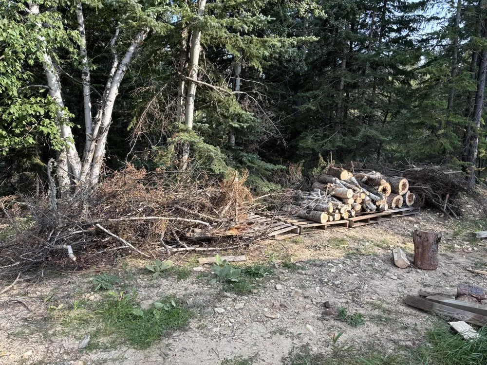 Reliable yard maintenance experts serving Box Elder, SD - Tibbett's Landscaping