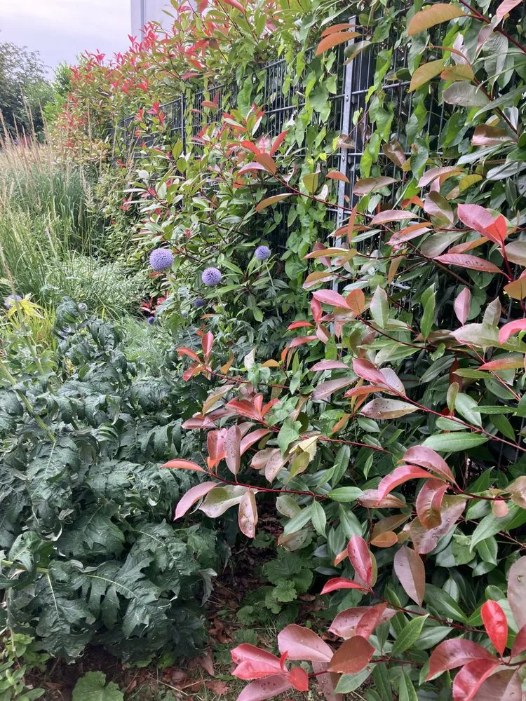 Expert landscaping services experts serving Frederick, MD - Tibes Landscaping Maintenance