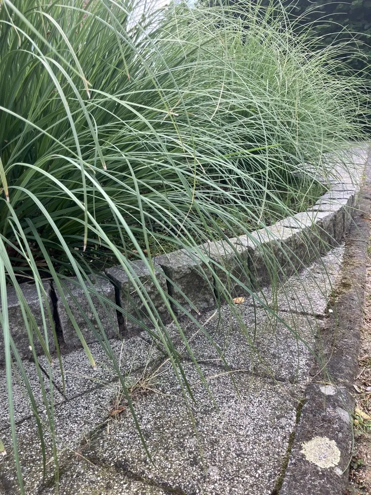 Reliable yard maintenance experts serving Frederick, MD - Tibes Landscaping Maintenance