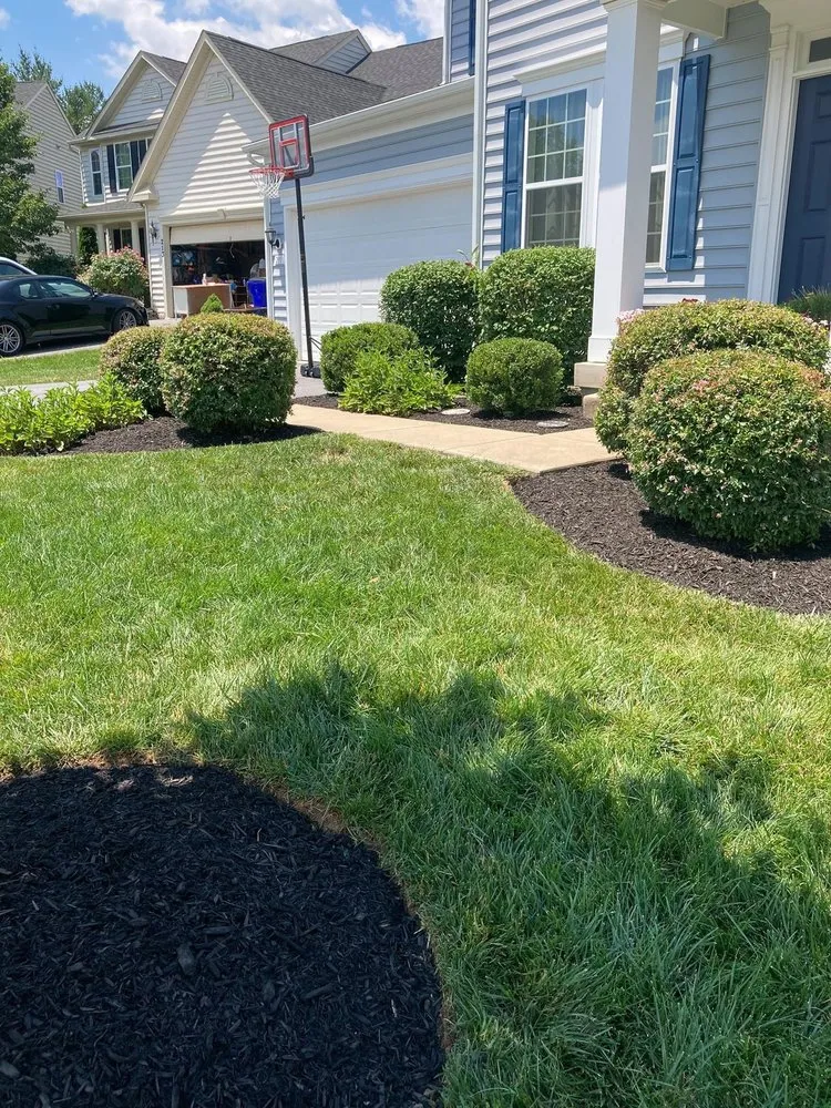 Reliable yard cleanup service in Frederick, MD by Tibes Landscaping Maintenance