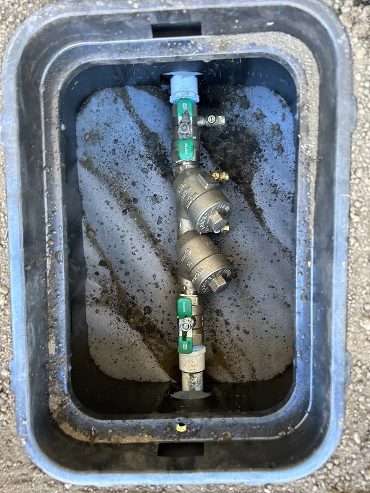 Expert yard cleanup service in Vallejo, CA by Tiburcio Landscape