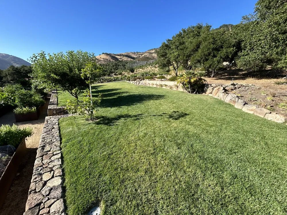 Expert landscaping services in Vallejo, CA - Tiburcio Landscape