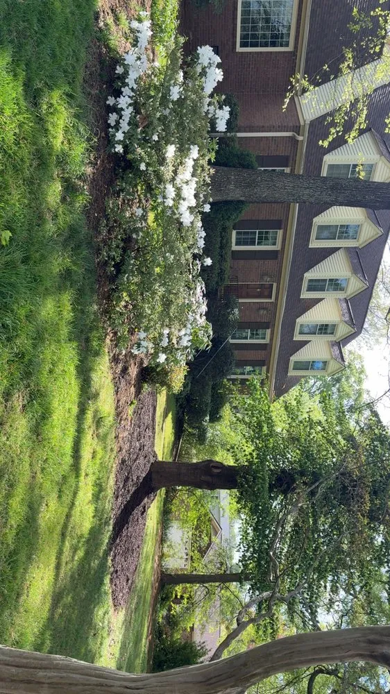 Reliable landscape design experts serving Shelby, NC - Tice Services