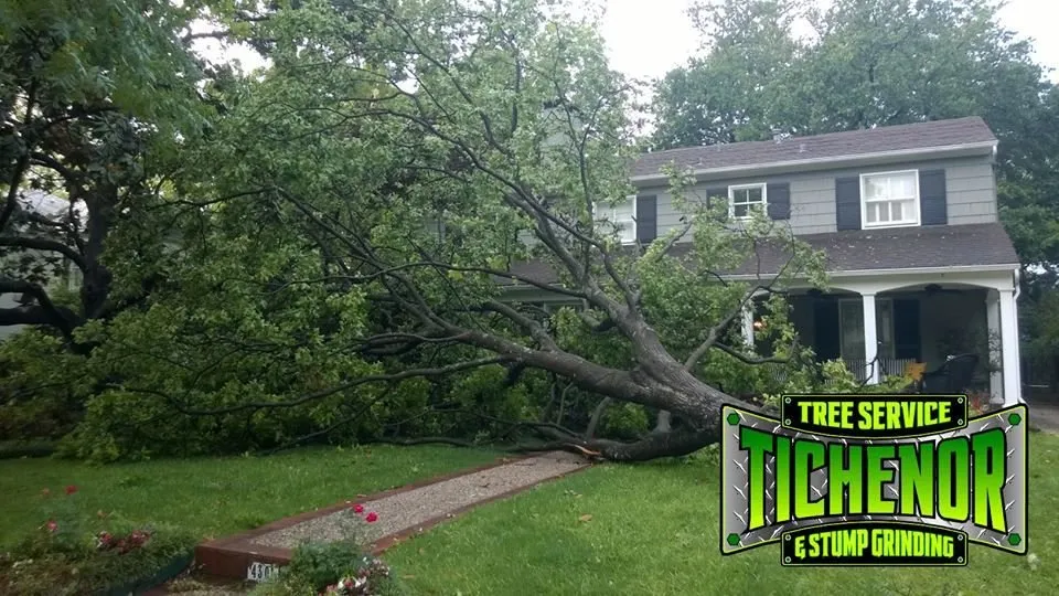 Professional landscape design experts serving Cromwell, KY - Tichenor's Lawn Care & Tree Service
