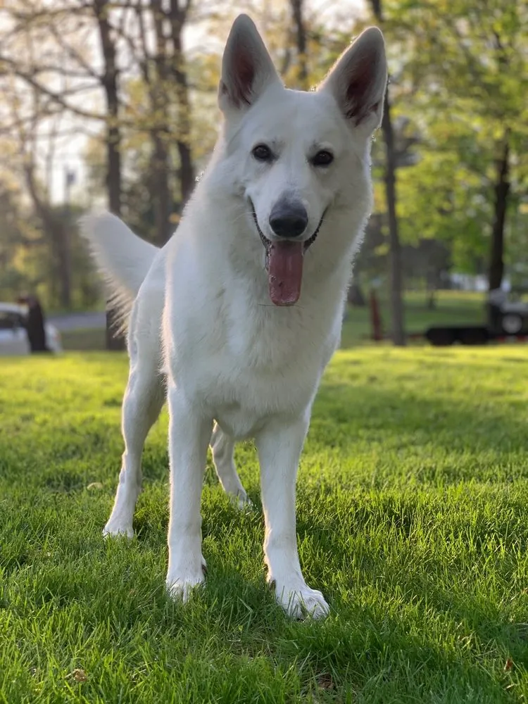 Expert landscape design experts serving Newtown, CT - Tick Ranger