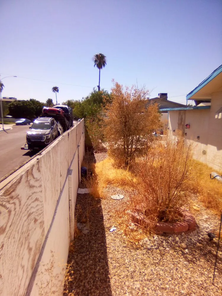 Custom yard maintenance in Las Vegas, NV by Tickle My Grass Landscaping & Maintenance