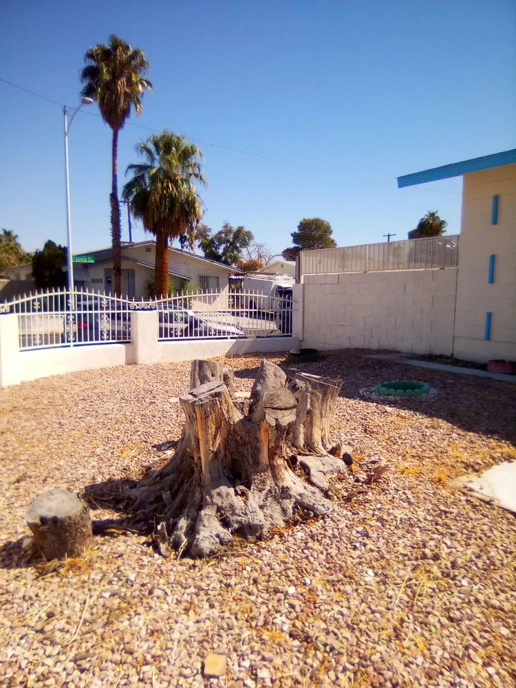 Affordable yard maintenance in Las Vegas, NV by Tickle My Grass Landscaping & Maintenance