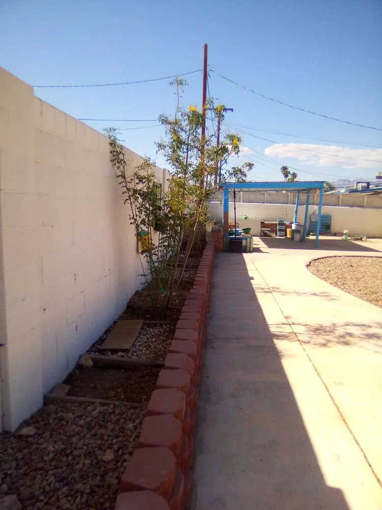 Professional landscaping services with custom design in Las Vegas, NV by Tickle My Grass Landscaping & Maintenance