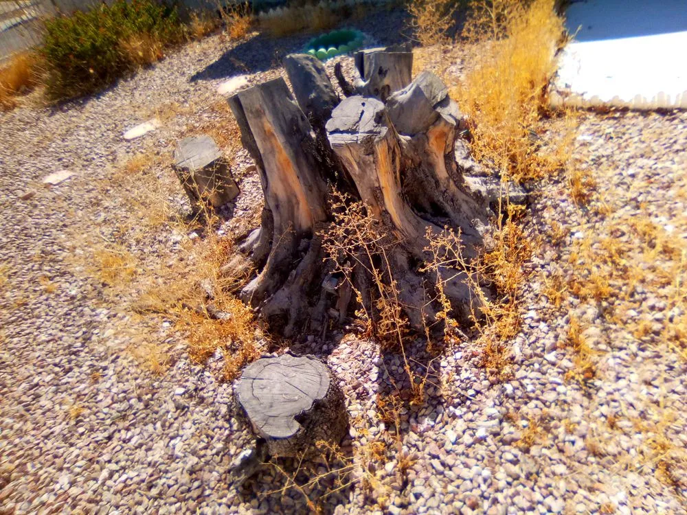 Local landscaping services for outdoor upgrades in Las Vegas, NV by Tickle My Grass Landscaping & Maintenance