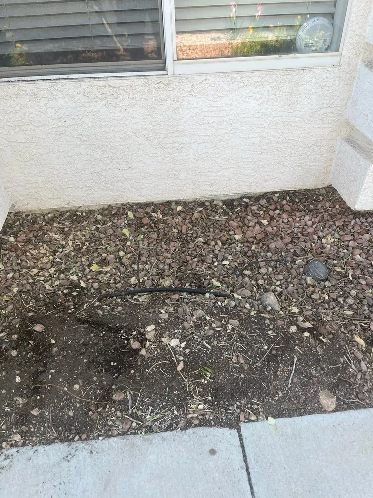 Reliable yard cleanup service near you across Las Vegas, NV - Tickle My Grass Landscaping & Maintenance