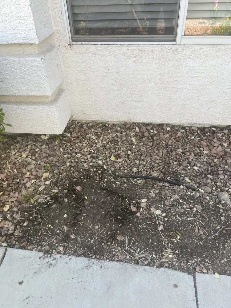 Trusted lawn care service for outdoor upgrades across Las Vegas, NV - Tickle My Grass Landscaping & Maintenance